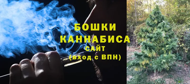 Канабис OG Kush  Бакал 